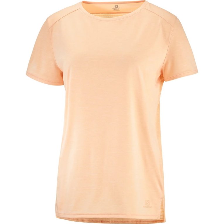 Camiseta Salomon Outline Summer Curta Sleeve Feminino Abricó | PT C98723